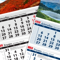 Работен календар Елит 2011 (календари 2011 Макс) 